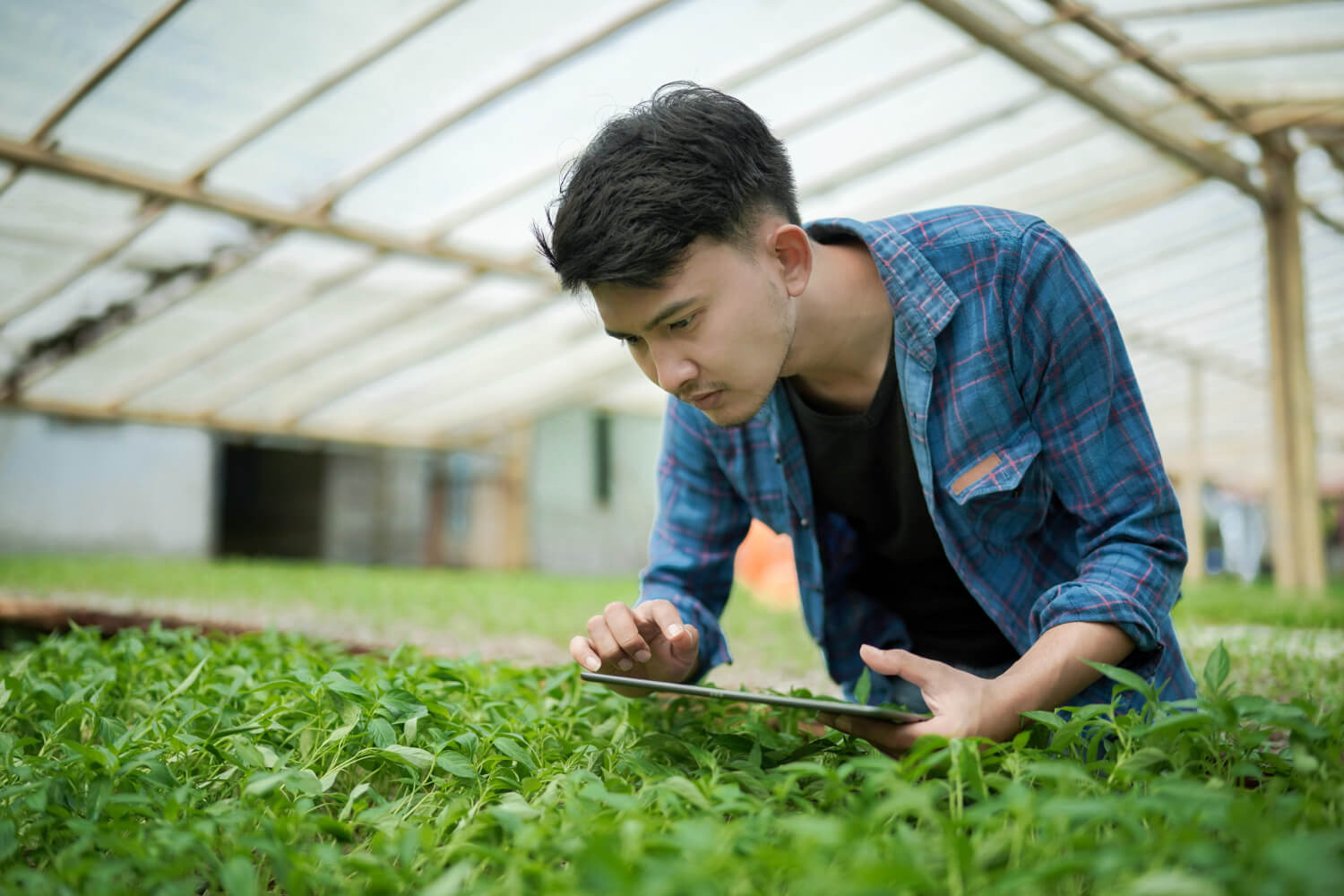 Land Stewardship Program