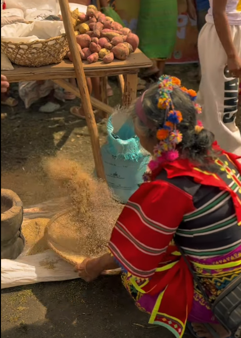 Ata Manobo community of Talaingod for welcoming GreenBridge