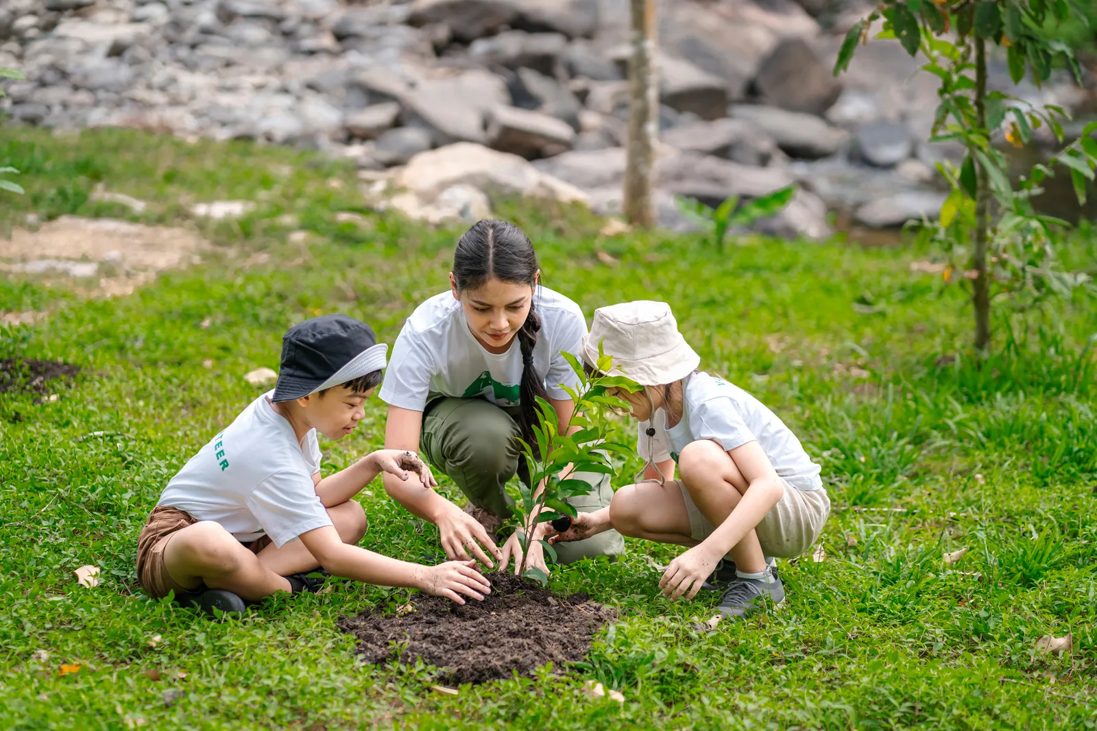 A community planting seedlings together