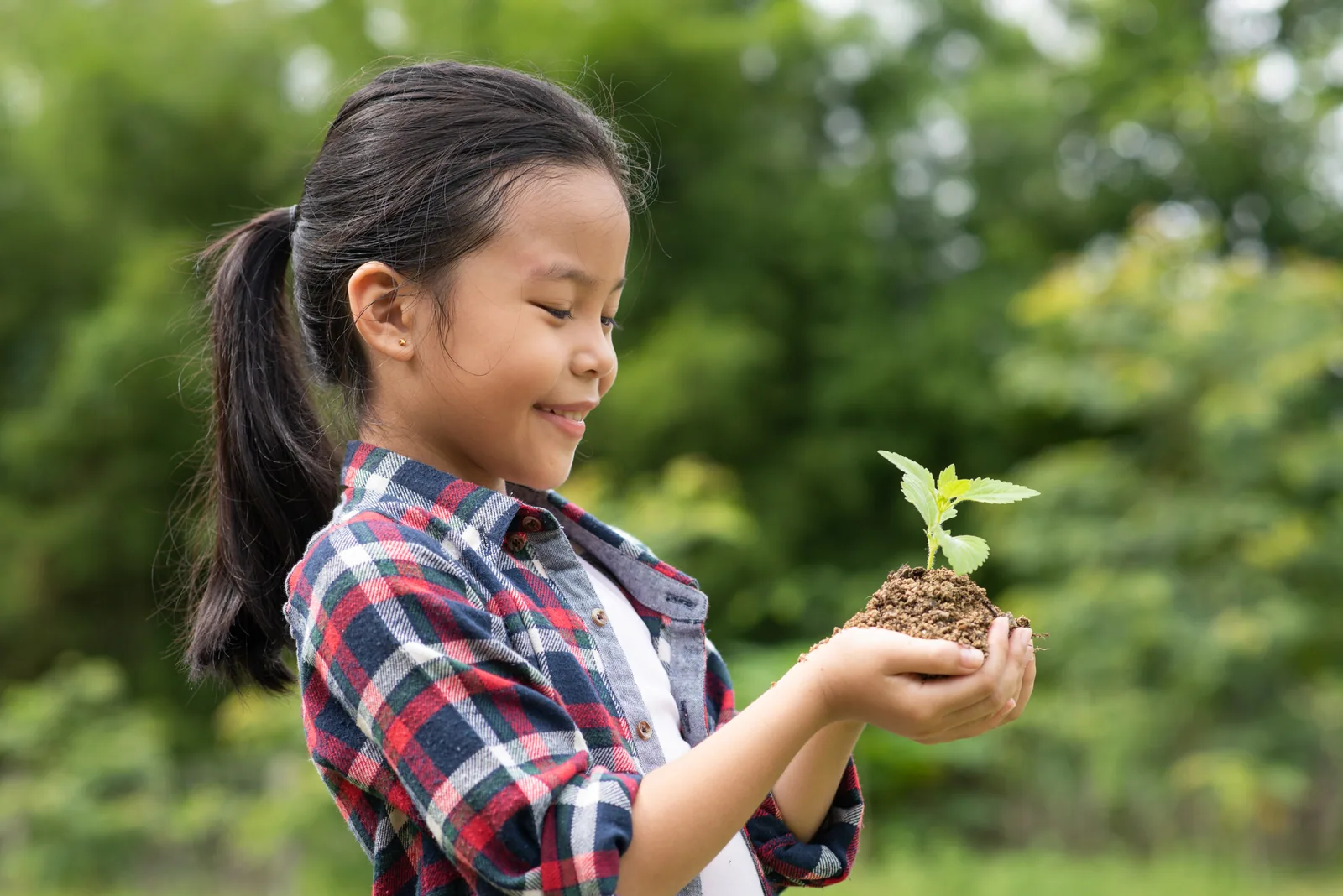 A child holding a young seedling